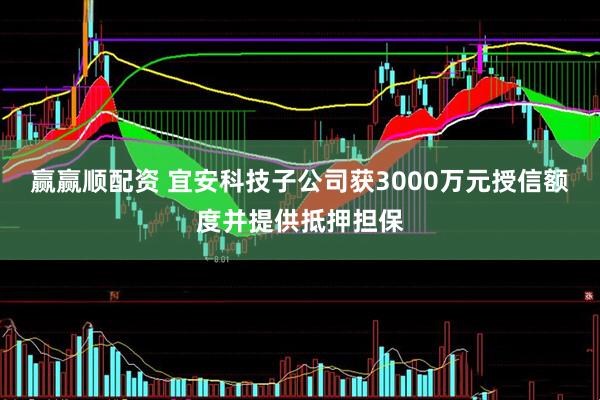 赢赢顺配资 宜安科技子公司获3000万元授信额度并提供抵押担保