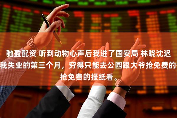 驰盈配资 听到动物心声后我进了国安局 林晓沈迟周文博 我失业的第三个月，穷得只能去公园跟大爷抢免费的报纸看。