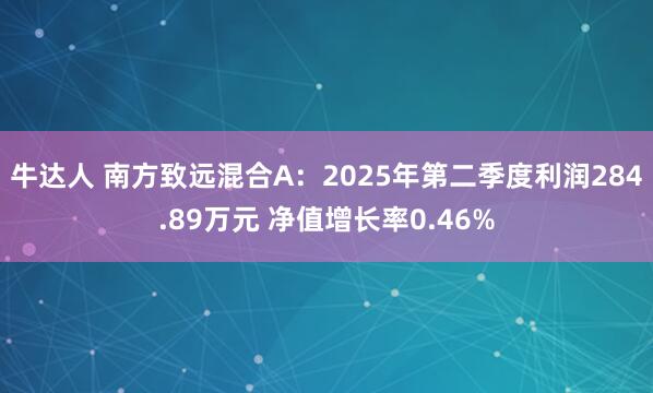 牛达人 南方致远混合A:2025年第二季度利润284.89万元 净值增长率0.46%